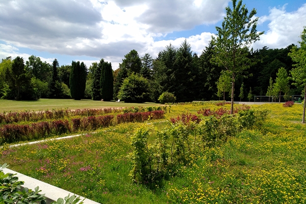 Park der Klinik Sonnenblick Park der Klinik Sonnenblick